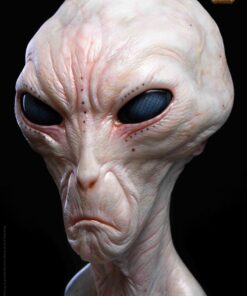 ALIEN GREY - THE DULCE WARS 1:1 Scale Bust - Image 7