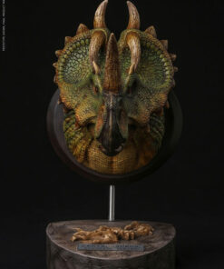 Alternative view of Centrosaurus Bust by Damtoys