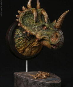 Centrosaurus Bust by Damtoys
