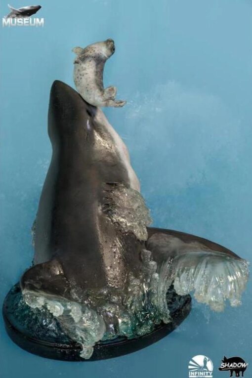 INFINITY STUDIO Carcharodon 1/4 SCALE STATUE LIMITED EDITION THE GREAT WHITE SHARK MUSEUM SERIES STATUE - Image 3