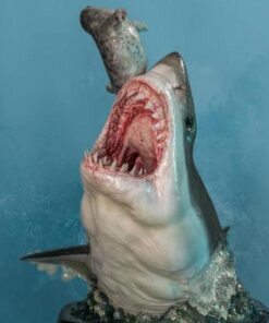 INFINITY STUDIO Carcharodon 1/4 SCALE STATUE LIMITED EDITION THE GREAT WHITE SHARK MUSEUM SERIES STATUE - Image 4