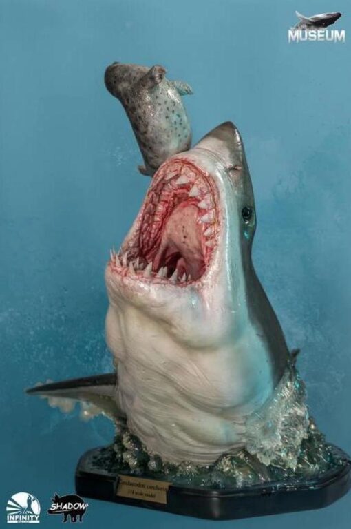 INFINITY STUDIO Carcharodon 1/4 SCALE STATUE LIMITED EDITION THE GREAT WHITE SHARK MUSEUM SERIES STATUE - Image 4