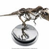 T-Rex Skeleton Bronze By Cinemaquette
