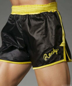Rocky II 1:3 Scale Statue Item Number: Manufacturer: PCS - Image 18