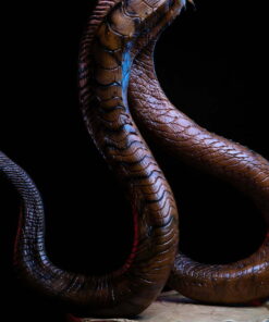 MEDUSA 1:3 Scale Statue By Elite Creature Collectibles - Image 18