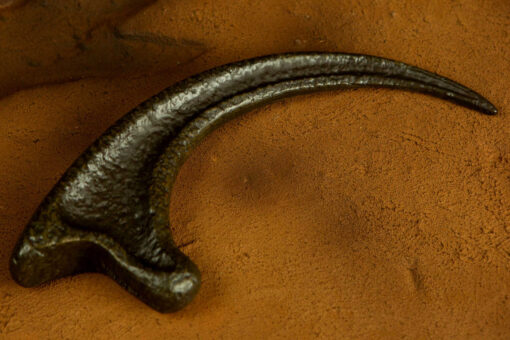 JURASSIC PARK - Raptor Claw By Doctor Collector - Image 6