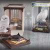 Magical Creatures- Hedwig