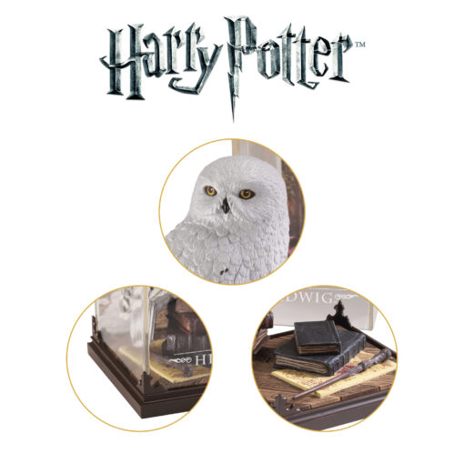 Magical Creatures- Hedwig - Image 6