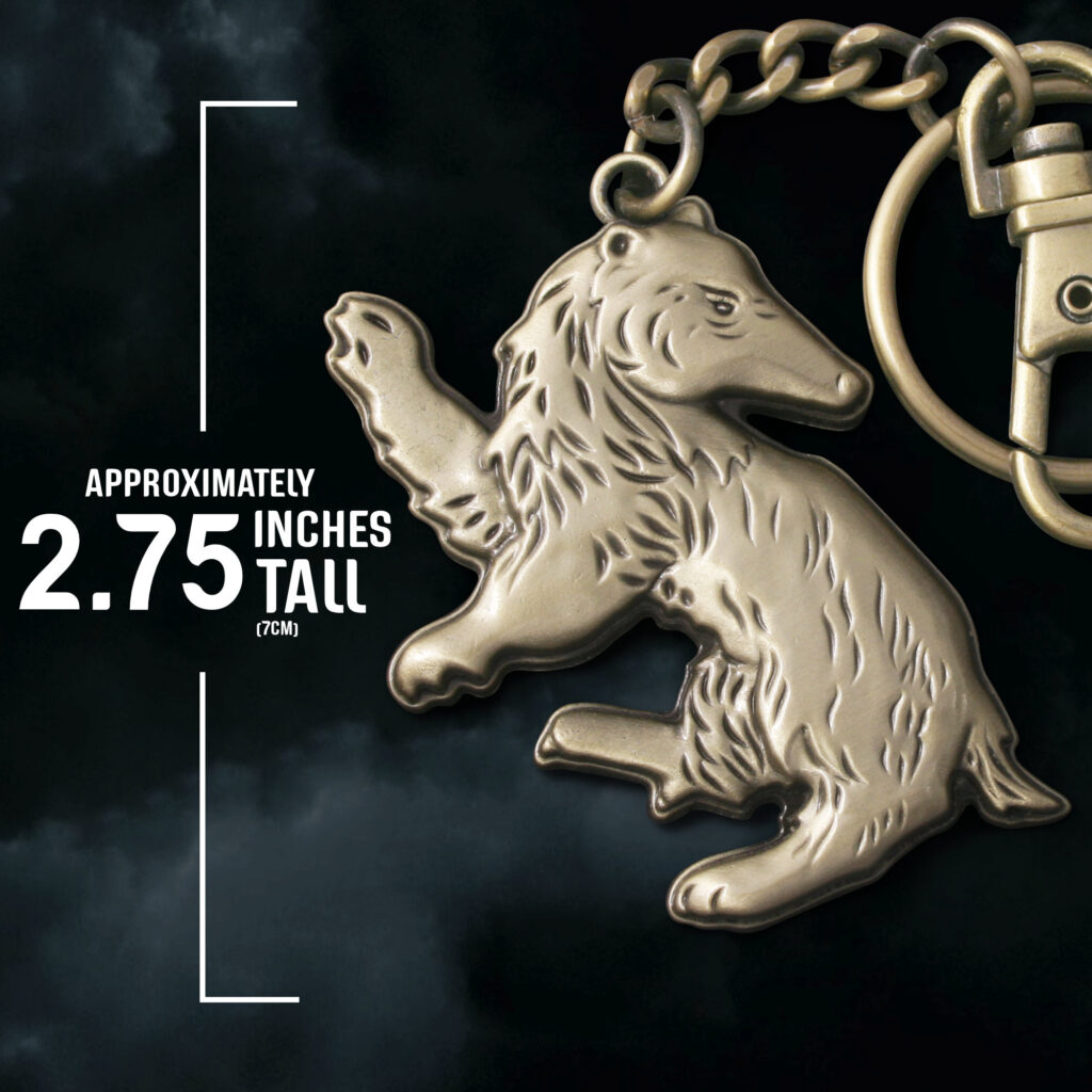 Ravenclaw Shaped Keychain3