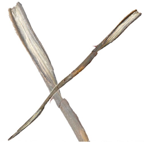 Gellert Grindelwald Character Wand - Image 2