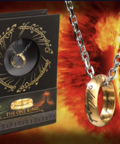 The One Ring Stainless Steel on chain