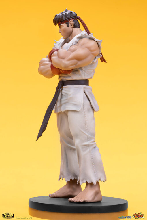 Ryu & Dan Collectible Set - Street Fighter By PCS - Image 9
