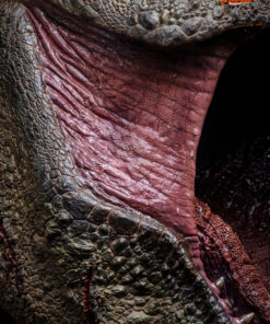 Queen Studios’s T-Rex 1/3 Bust - 99 pieces worldwide - Image 18
