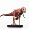 T-Rex Anatomy 1:12 Scale Maquette By Cinemaquette X ECC