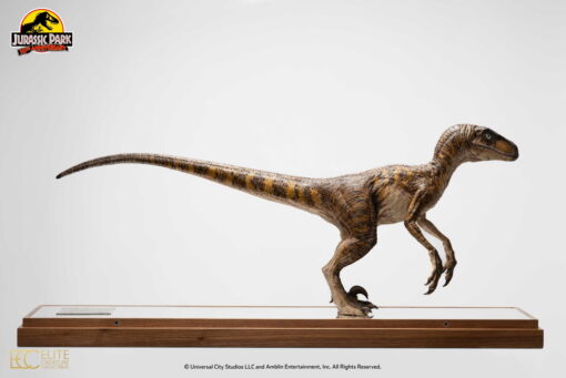 "Clever Girl" Velociraptor Maquette Reproduction WITH ACRYLIC CASE - By ECC - Image 11