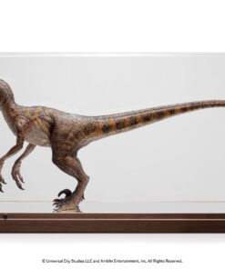 Alternative view of "Clever Girl" Velociraptor Maquette Reproduction WITH ACRYLIC CASE - By ECC