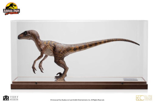 "Clever Girl" Velociraptor Maquette Reproduction WITH ACRYLIC CASE - By ECC - Image 2