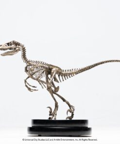 Alternative view of Velociraptor Skeleton Bronze 1:8 Scale Statue By Cinemaquette