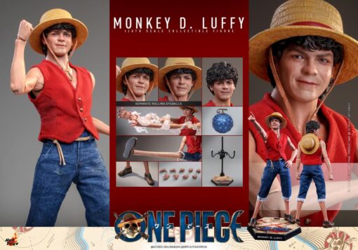 Monkey D. Luffy Sixth Scale Figure  Item Number: Manufacturer: Hot Toys - Image 2