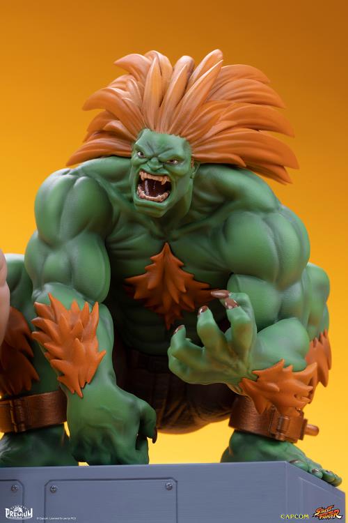 BLANKA & FEI LONG Collectible Set by PCS - Image 7