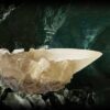The Crystal Goblet from the Cave