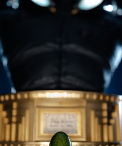 Abe Sapien Bust - Elite Creature Collectibles - Image 5