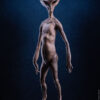 ECC Presents: Reptilian Grey Maquette by Steve Wang