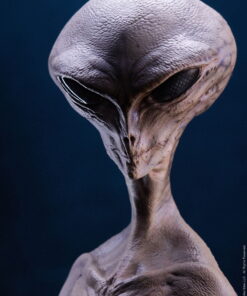 ECC Presents: Reptilian Grey Maquette by Steve Wang - Image 5