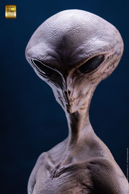 ECC Presents: Reptilian Grey Maquette by Steve Wang - Image 5