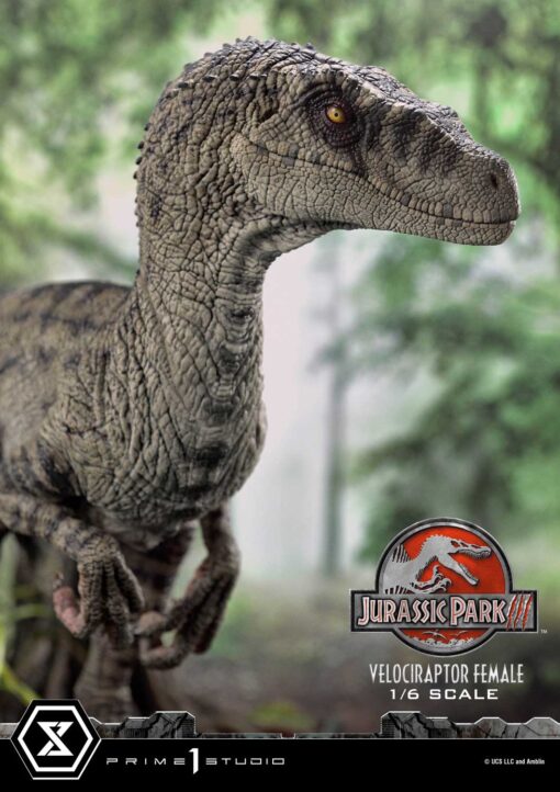 Legacy Museum Collection Jurassic Park III (Film) Velociraptor Female 1/6 scale Bonus Version - Prime1Studio - Image 46