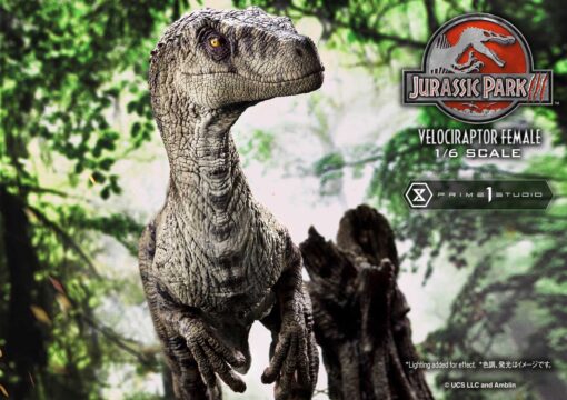 Legacy Museum Collection Jurassic Park III (Film) Velociraptor Female 1/6 scale Bonus Version - Prime1Studio - Image 54