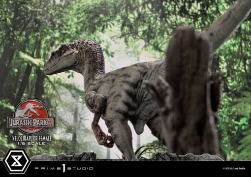Legacy Museum Collection Jurassic Park III (Film) Velociraptor Female 1/6 scale Bonus Version - Prime1Studio - Image 4