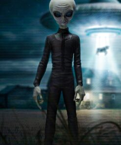 Grey Alien - I Want to Believe - Art Scale 1/10 - Iron Studios - Image 16