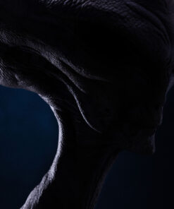 Reptilian Grey Bust By ECC - Image 9