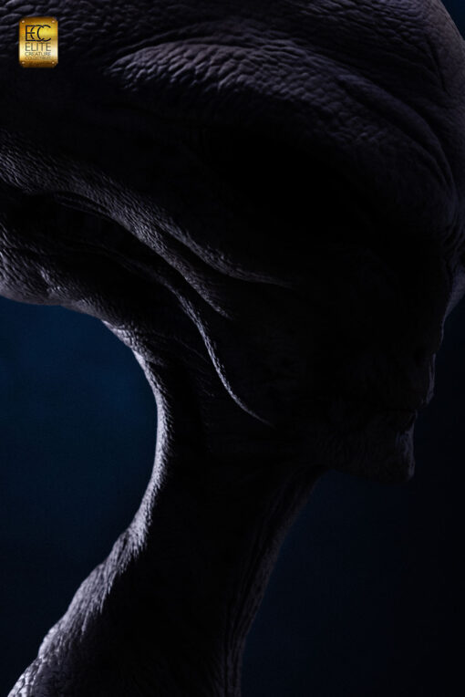 Reptilian Grey Bust By ECC - Image 9