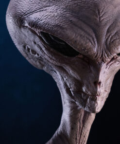 Reptilian Grey Bust By ECC - Image 7