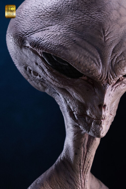Reptilian Grey Bust By ECC - Image 7