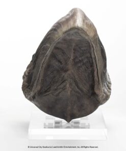 ELITE CREATURE COLLECTIBLE PRESENTS: Screen Used T-Rex Foot Claw Reproduction - Image 5