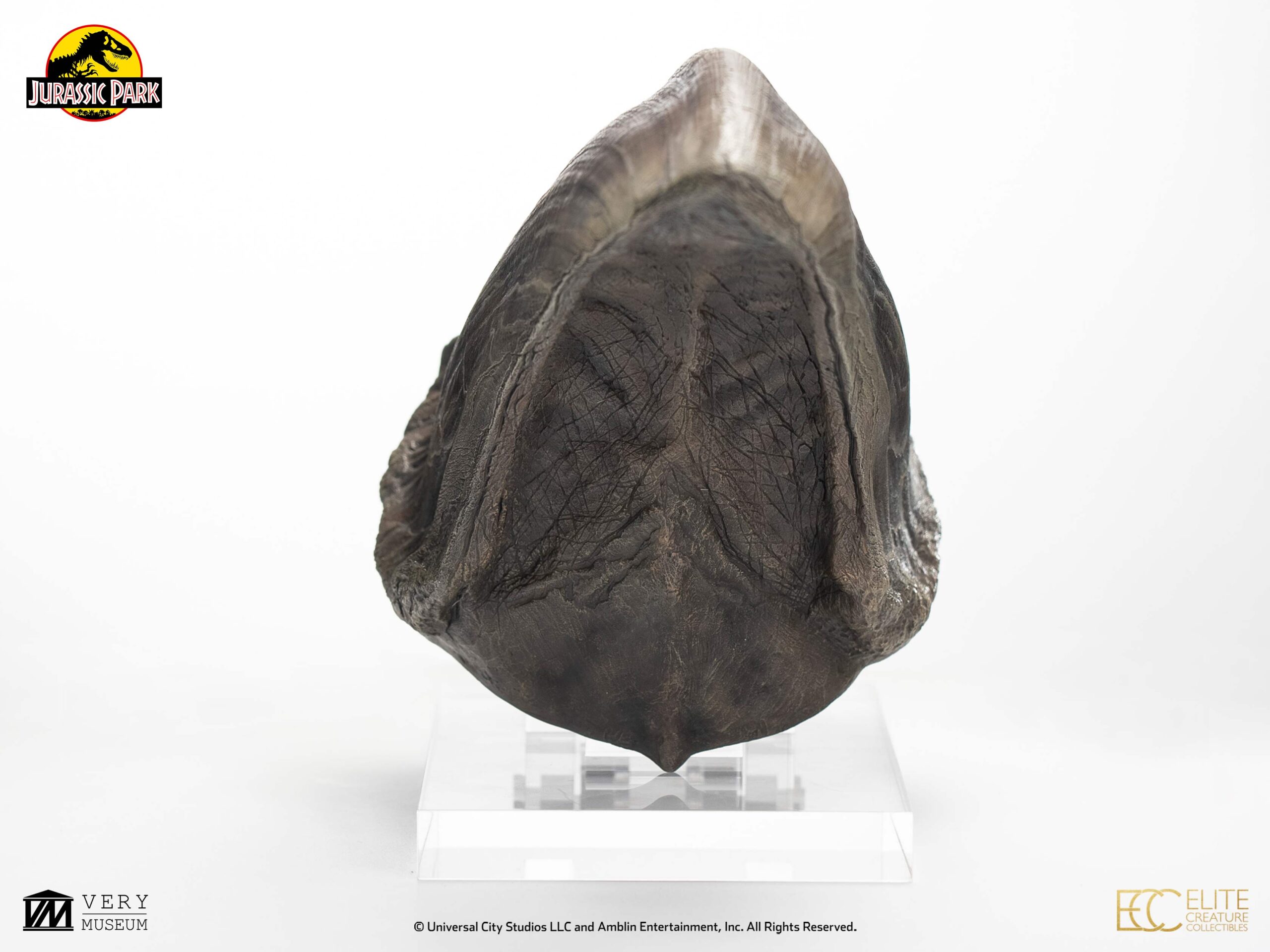 ELITE CREATURE COLLECTIBLE PRESENTS: Screen Used T-Rex Foot Claw Reproduction - Image 5