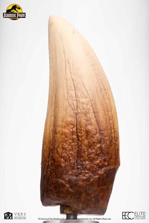 ELITE CREATURE COLLECTIBLE PRESENTS: Screen Used T-Rex Tooth Reproduction - Image 7