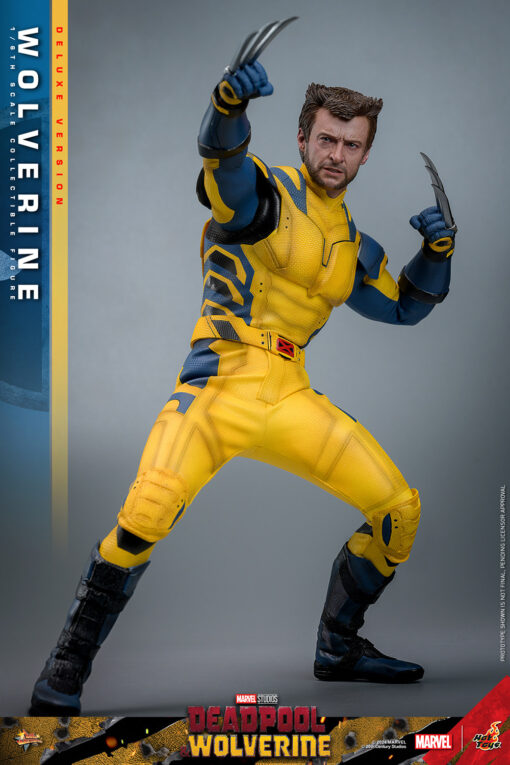 Wolverine (Deluxe Version) - Hot Toys - Image 14