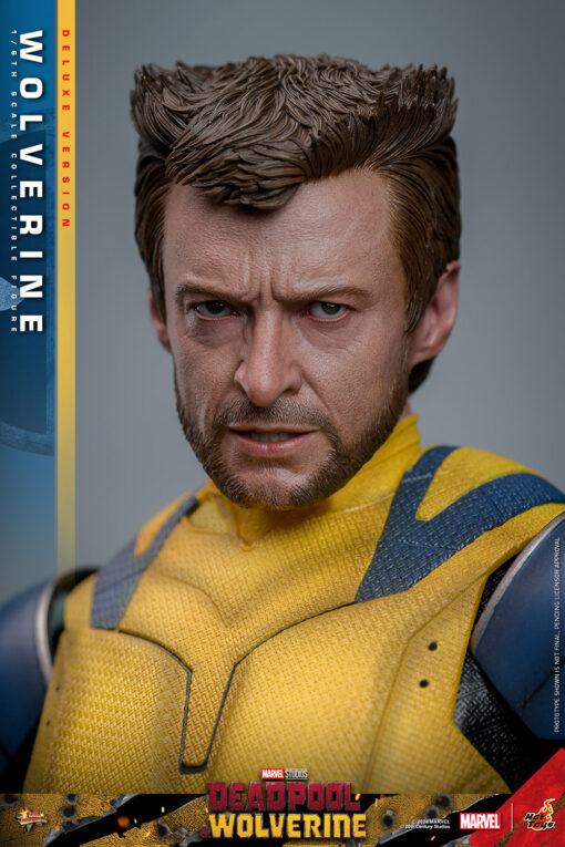 Wolverine (Deluxe Version) - Hot Toys - Image 13