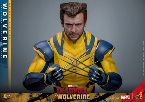 Wolverine (Deluxe Version) - Hot Toys - Image 12