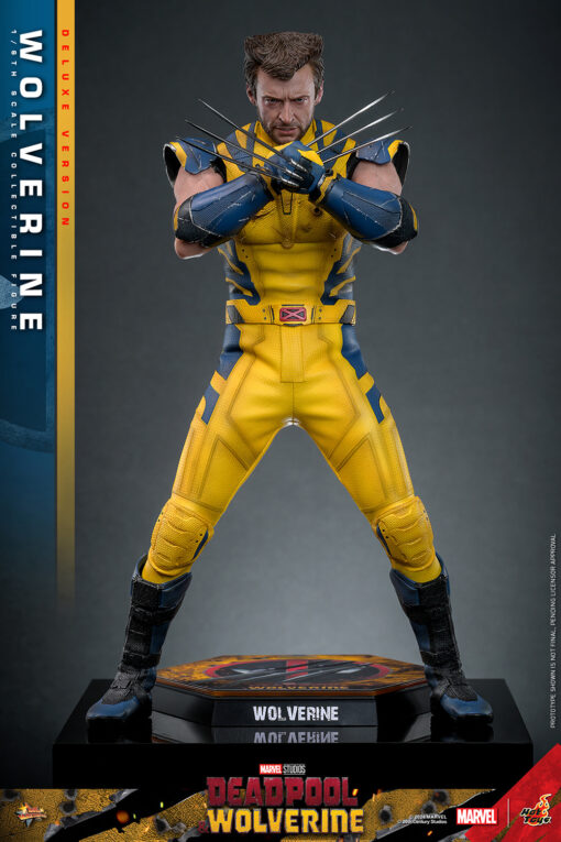 Wolverine (Deluxe Version) - Hot Toys