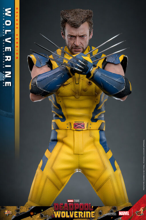 Wolverine (Deluxe Version) - Hot Toys - Image 10
