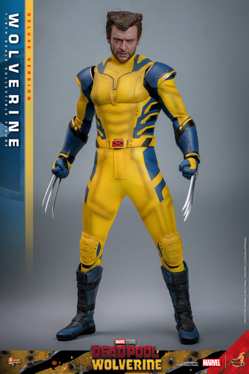 Wolverine (Deluxe Version) - Hot Toys - Image 8