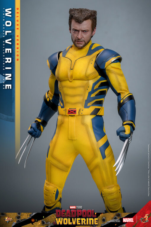 Wolverine (Deluxe Version) - Hot Toys - Image 7