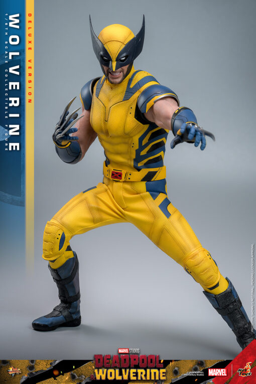 Wolverine (Deluxe Version) - Hot Toys - Image 6