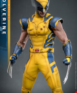 Wolverine (Deluxe Version) - Hot Toys - Image 5