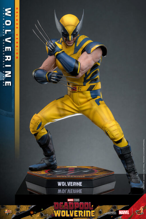 Wolverine (Deluxe Version) - Hot Toys - Image 2
